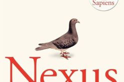 Verdad o información. Sabiduría versus Poder – En torno a «Nexus. Una breve historia de las redes de información desde la Edad de Piedra hasta la IA», de Yuval Noah Harari – José Biedma López