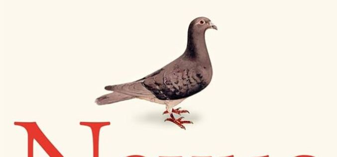 Verdad o información. Sabiduría versus Poder – En torno a «Nexus. Una breve historia de las redes de información desde la Edad de Piedra hasta la IA», de Yuval Noah Harari – José Biedma López