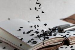 Reflexionando sobre la poesía con Rosa Romojaro y Enrique Baena – Sebastián Gámez Millán