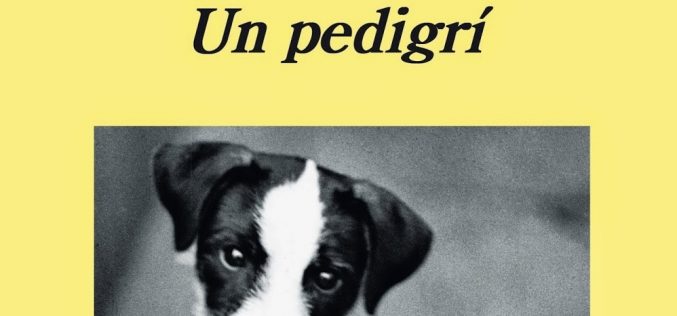 En busca de «Un pedigrí» – Sebastián Gámez Millán
