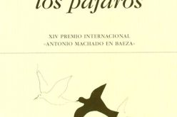 En el cielo de una página, un pájaro que vuela – A propósito de «Cuando los pájaros», de Rosa Romojaro – Una reseña de Alba Navarro