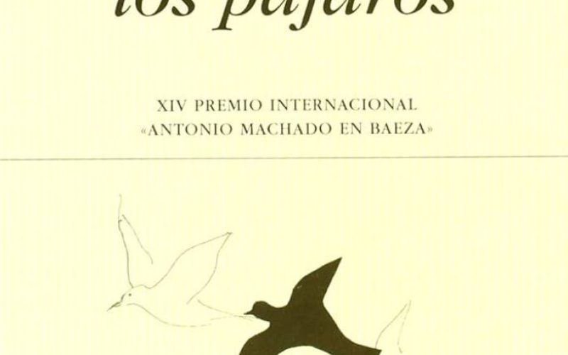 En el cielo de una página, un pájaro que vuela – A propósito de «Cuando los pájaros», de Rosa Romojaro – Una reseña de Alba Navarro