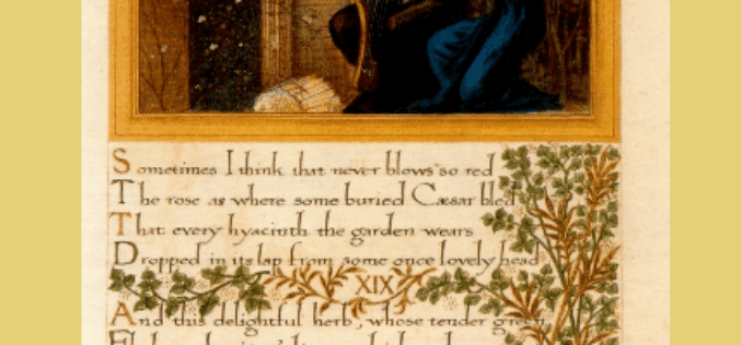 Omar Khayyam. Exemplar humanae vitae – III – Ismaël Diadié Haïdara