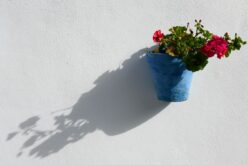 La afonía del rapsoda: versos imperfectos [Otras voces, otros ámbitos] – VI – La luz a ti debida – Rafael Guardiola Iranzo