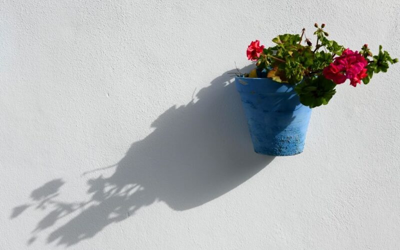 La afonía del rapsoda: versos imperfectos [Otras voces, otros ámbitos] – VI – La luz a ti debida – Rafael Guardiola Iranzo