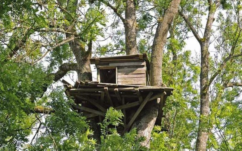 Ensayo sobre la cueva, o la «habitación propia» de los hombres – II – Fabio Vélez Bertomeu