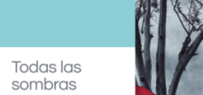 Acerca de «Todas las sombras», de Inés Montes – Fuensanta Martín Quero