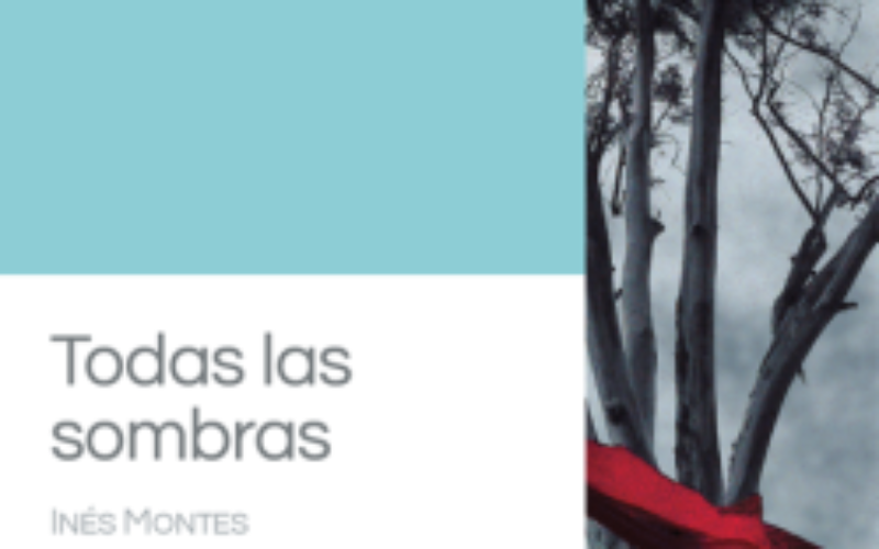 Acerca de «Todas las sombras», de Inés Montes – Fuensanta Martín Quero