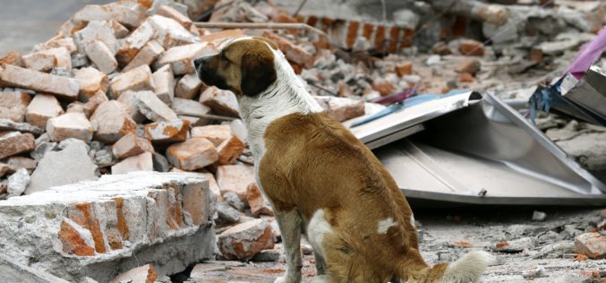A un año de los terremotos, ¿queda todavía algo por aprender? [Con motivo del aniversario de los terremotos que sacudieron México en Septiembre de 2017] – Fabio Vélez Bertomeu