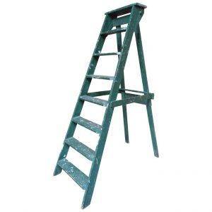 The Wittgenstein`s Ladder