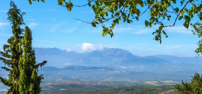 El último viaje – Pedro García Cueto