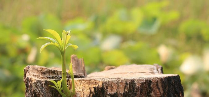 Poesía Ặntiviral – Poemas para la vida [Una acción poética urgente con motivo de la excepcional situación ocasionada por la pandemia del Covid – 19] – X – En el cielo del encierro – Tere García Ruiz