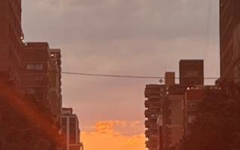 Un ciclista en Nueva York – José Luis Martín