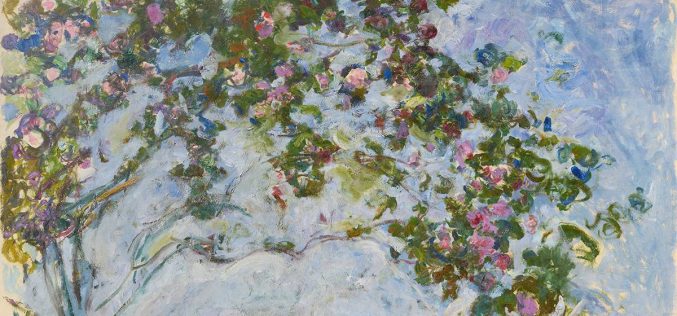Seasons of the Heart [Poems] – Carlota Pedreño Manzano