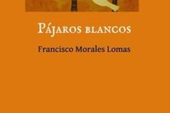 La poesía como forma de resistencia – A propósito de «Pájaros blancos», de Francisco Morales Lomas – José Sarria Cuevas