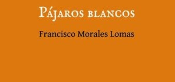 La poesía como forma de resistencia – A propósito de «Pájaros blancos», de Francisco Morales Lomas – José Sarria Cuevas