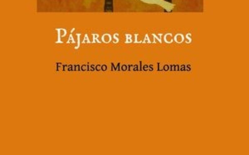 La poesía como forma de resistencia – A propósito de «Pájaros blancos», de Francisco Morales Lomas – José Sarria Cuevas